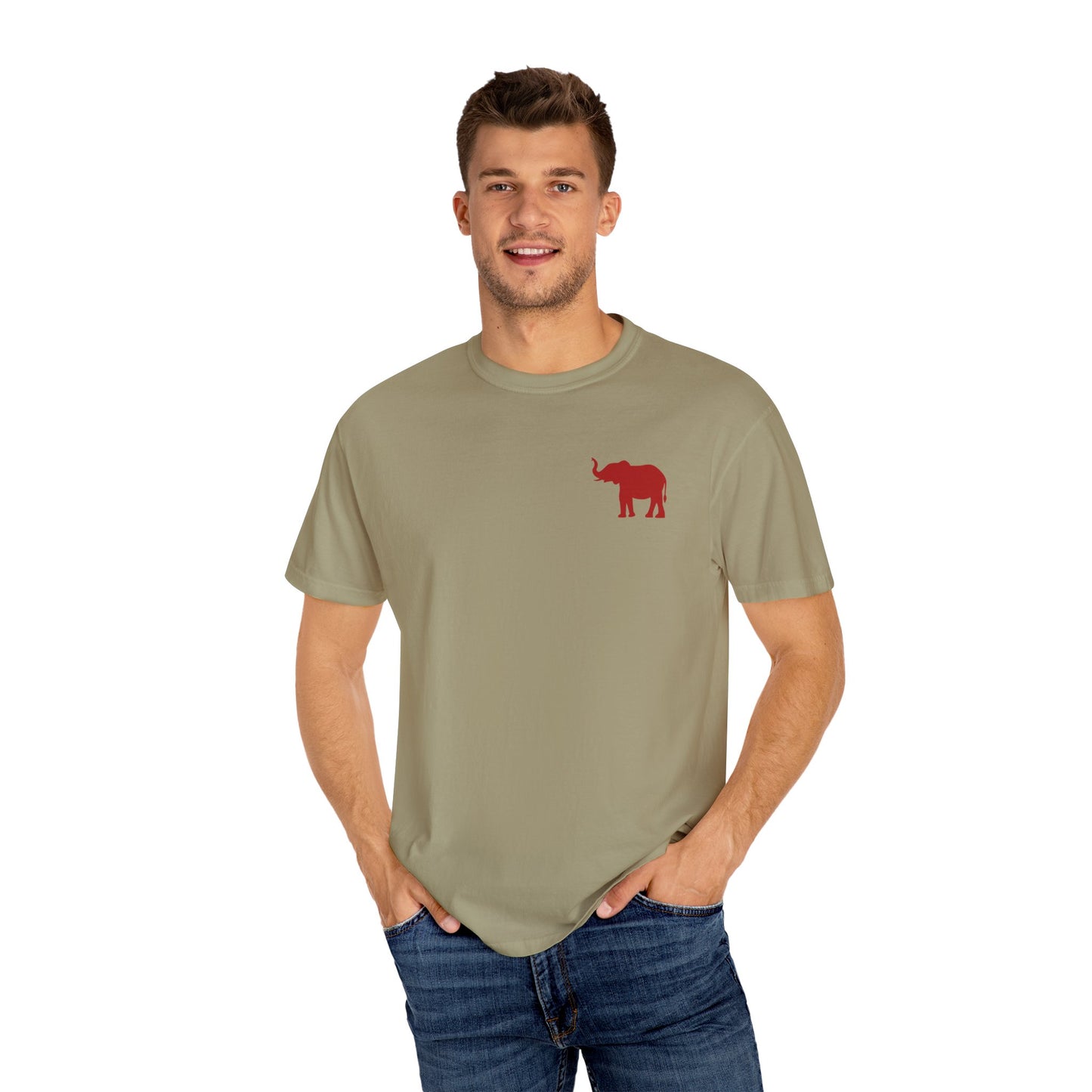 Comfort Colors Quad Alabama Tailgate Squad T-shirt