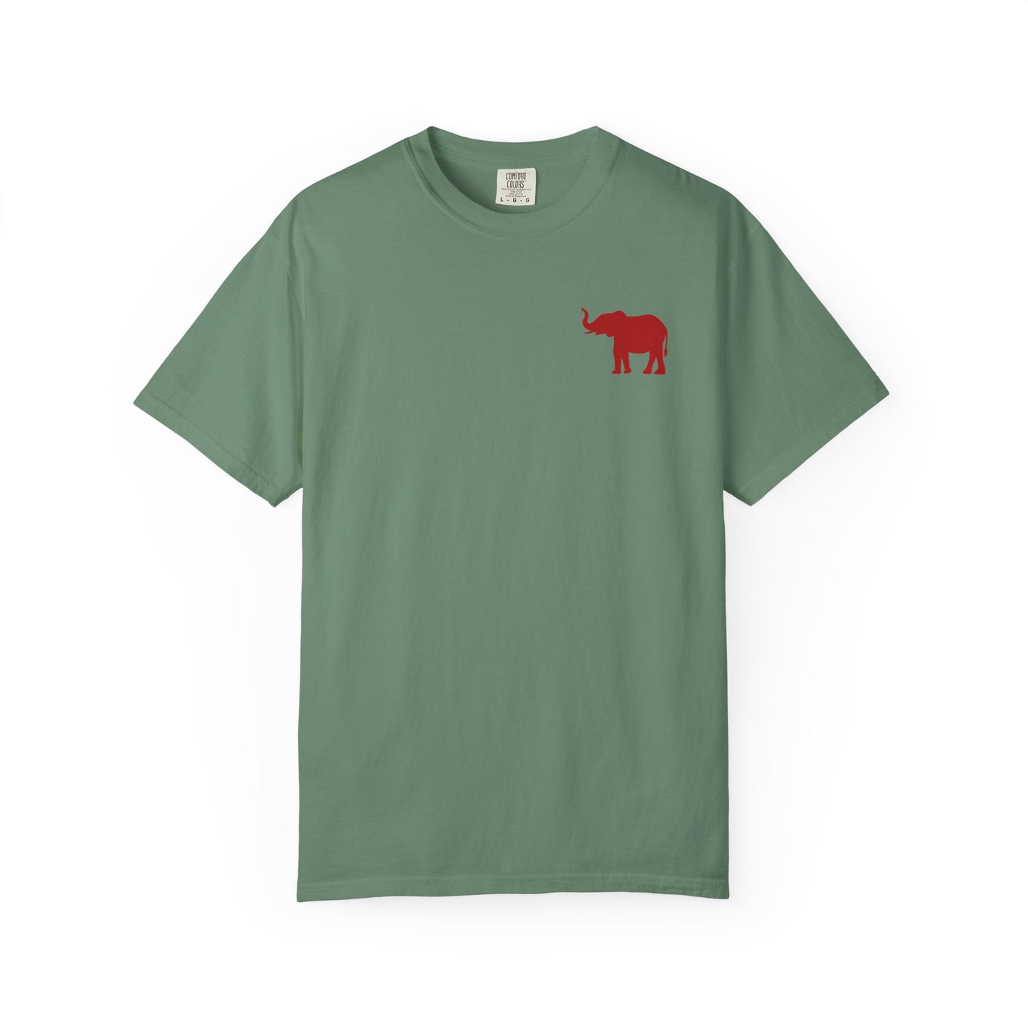 Comfort Colors Quad Alabama Tailgate Squad T-shirt