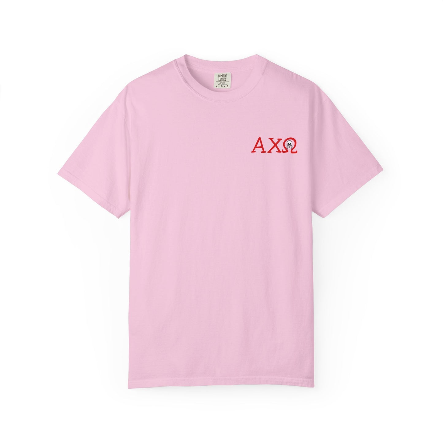 Alpha Chi Omega Garment-Dyed T-shirt, Unisex College Apparel, Sorority Shirt, Graduation Gift, Vintage Style Tee