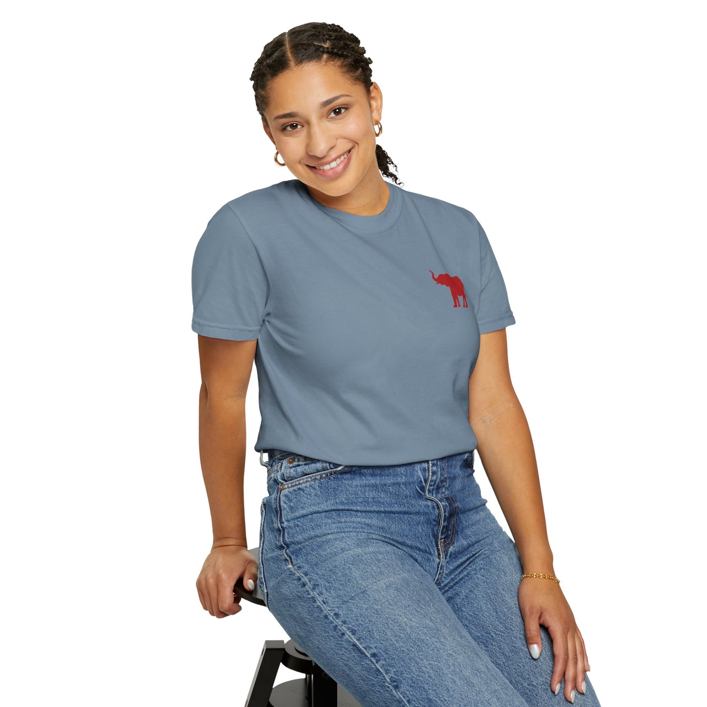 Comfort Colors Quad Alabama Tailgate Squad T-shirt