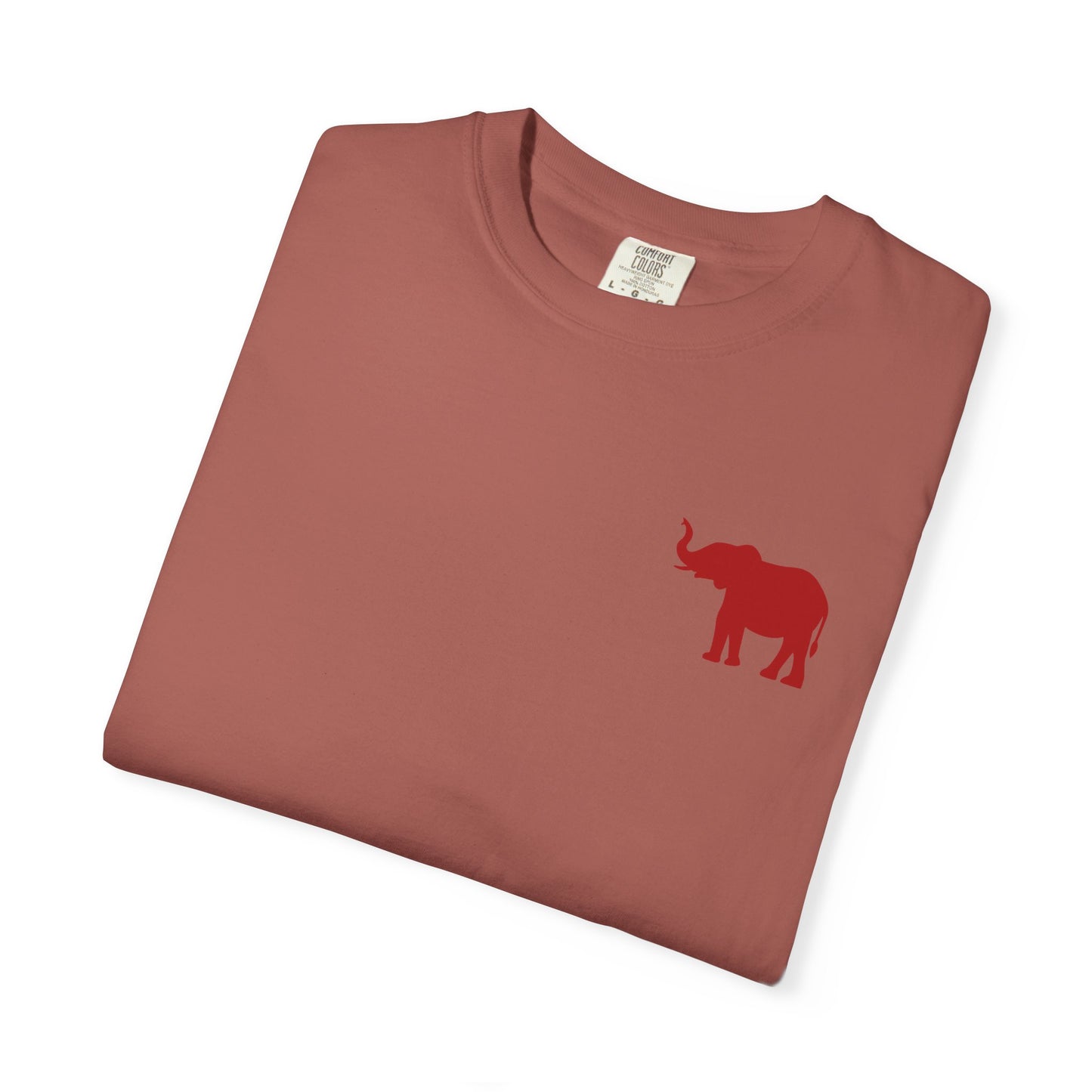 Comfort Colors Quad Alabama Tailgate Squad T-shirt