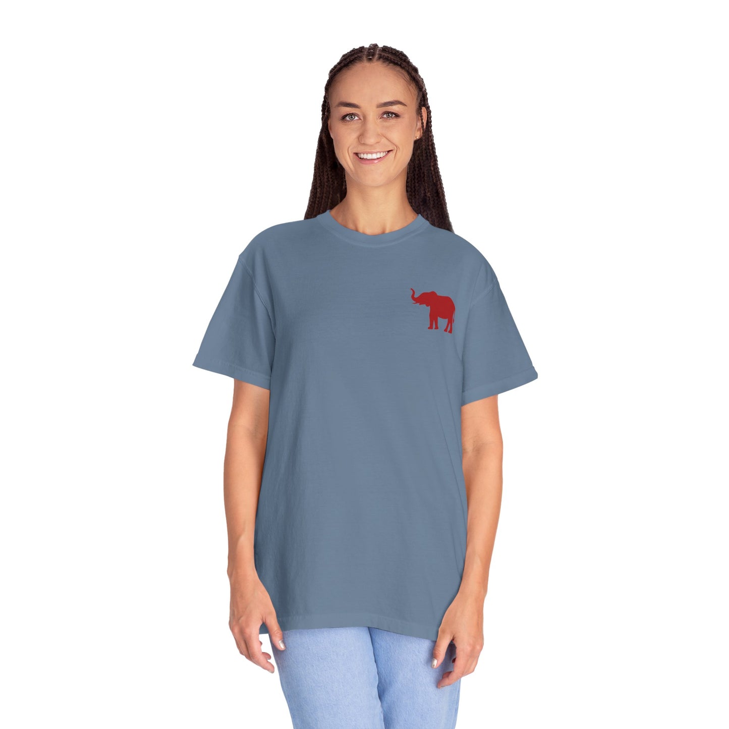 Comfort Colors Quad Alabama Tailgate Squad T-shirt