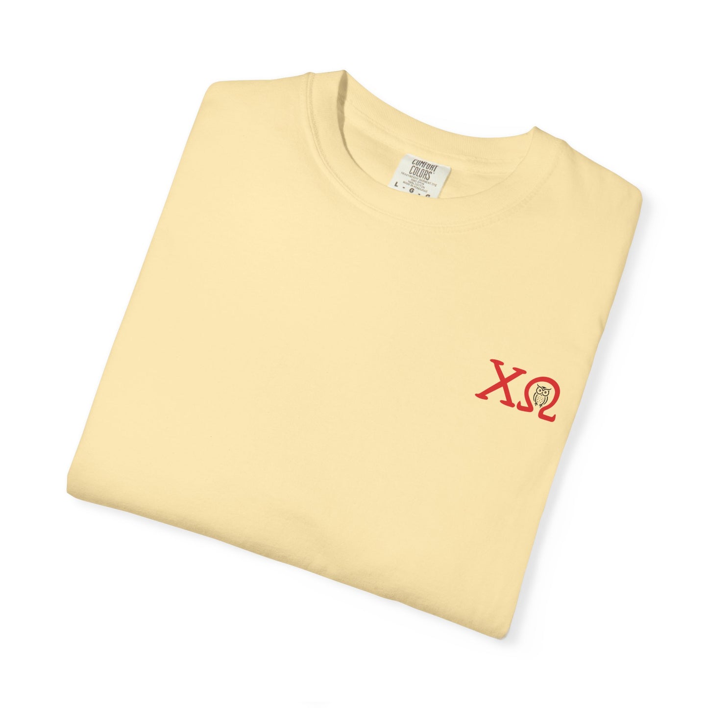 Chi Omega Sister T-Shirt, Sorority Apparel, College Tee, Garment-Dyed Shirt, Greek Life Merchandise, Casual Wear
