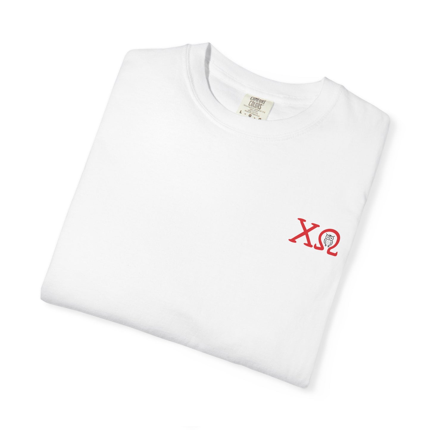 Chi Omega Sister T-Shirt, Sorority Apparel, College Tee, Garment-Dyed Shirt, Greek Life Merchandise, Casual Wear
