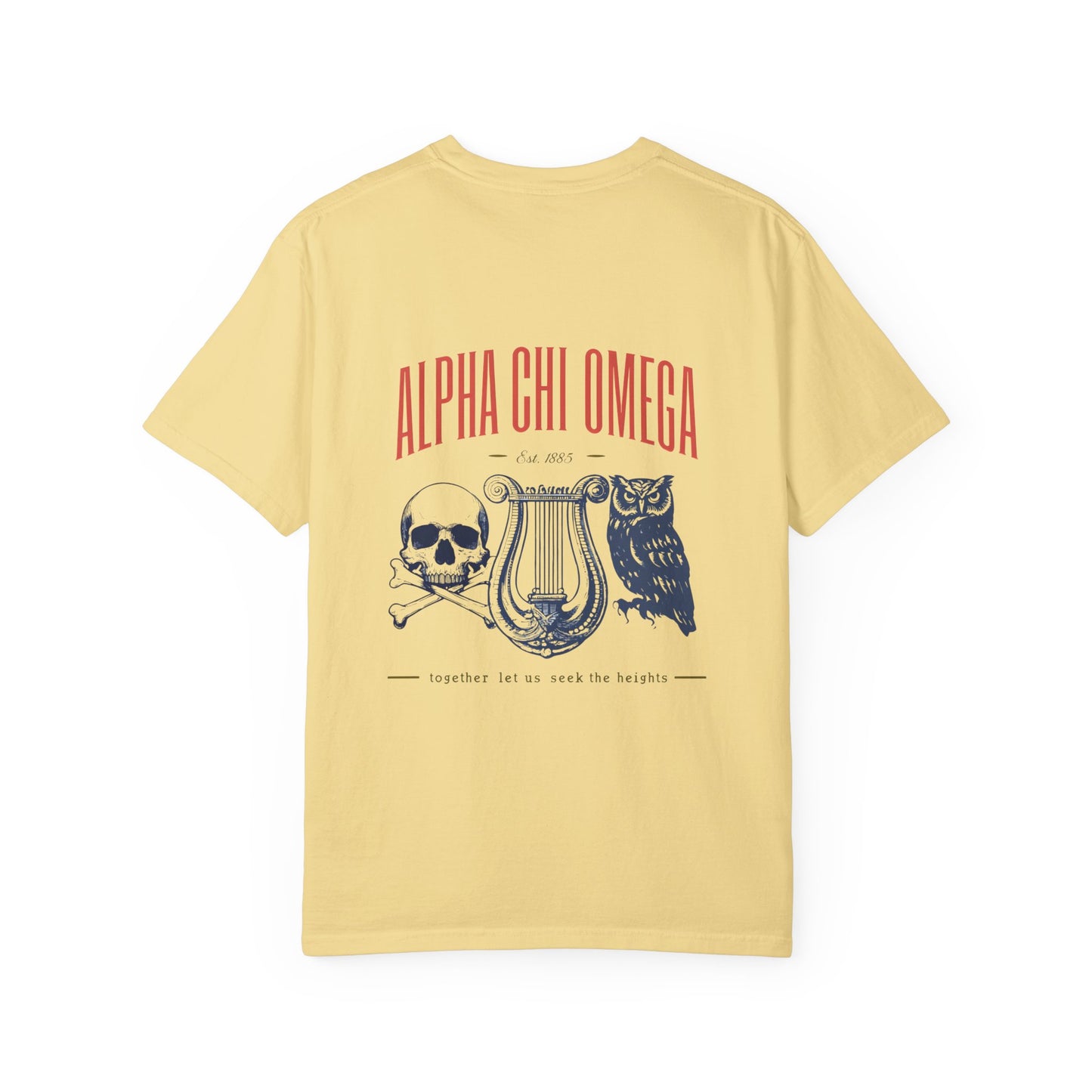 Alpha Chi Omega Garment-Dyed T-shirt, Unisex College Apparel, Sorority Shirt, Graduation Gift, Vintage Style Tee