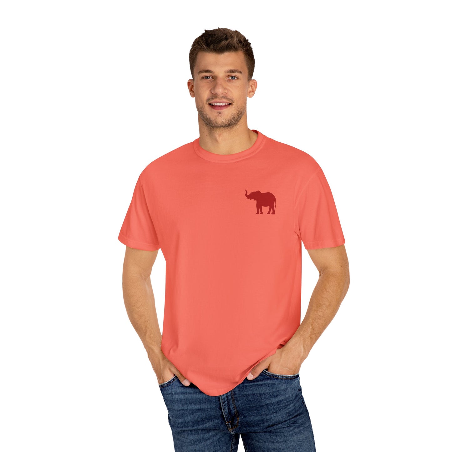 Comfort Colors Quad Alabama Tailgate Squad T-shirt