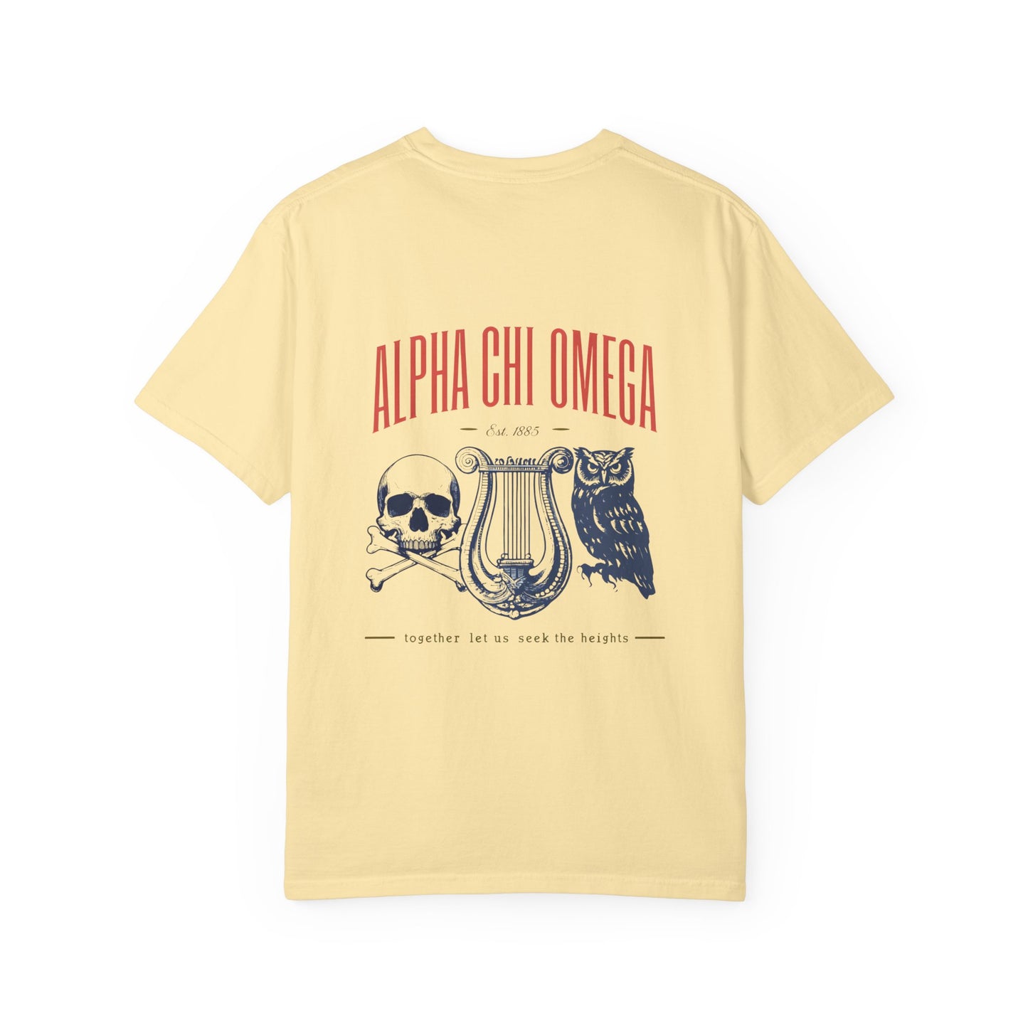 Alpha Chi Omega Garment-Dyed T-shirt, Unisex College Apparel, Sorority Shirt, Graduation Gift, Vintage Style Tee