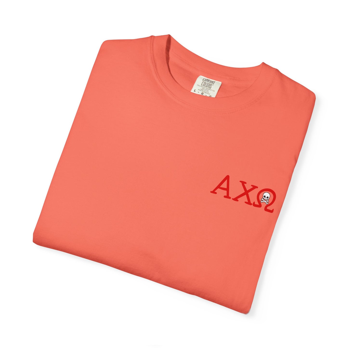 Alpha Chi Omega Garment-Dyed T-shirt, Unisex College Apparel, Sorority Shirt, Graduation Gift, Vintage Style Tee