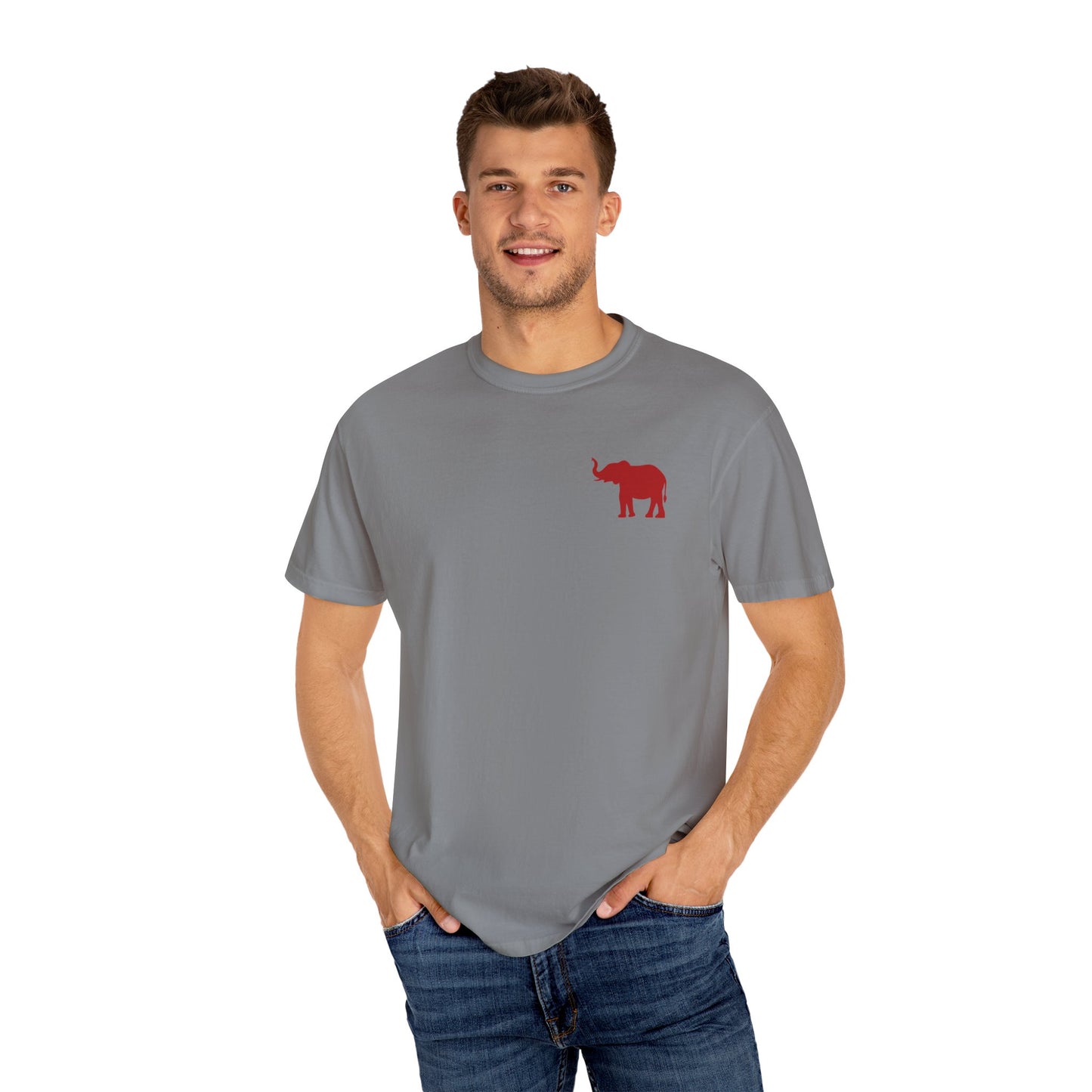 Comfort Colors Quad Alabama Tailgate Squad T-shirt