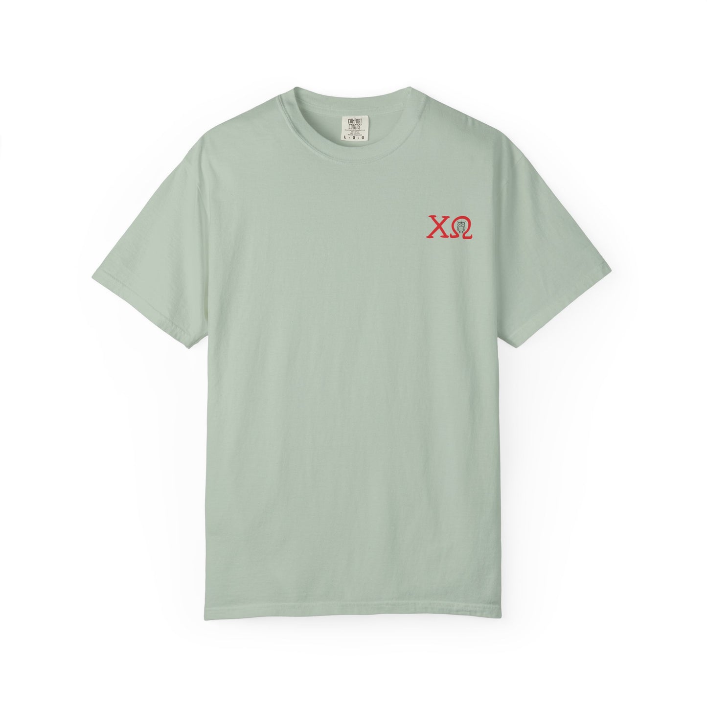 Chi Omega Sister T-Shirt, Sorority Apparel, College Tee, Garment-Dyed Shirt, Greek Life Merchandise, Casual Wear