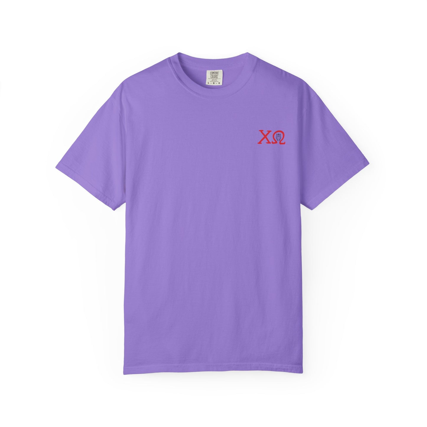 Chi Omega Sister T-Shirt, Sorority Apparel, College Tee, Garment-Dyed Shirt, Greek Life Merchandise, Casual Wear