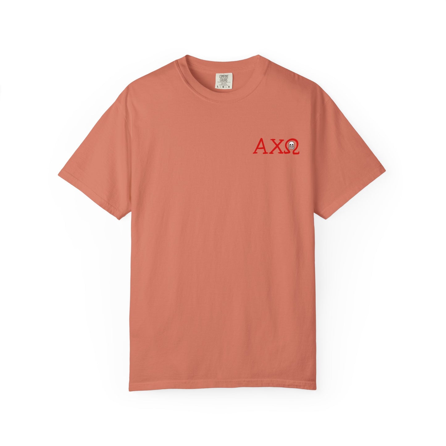 Alpha Chi Omega Garment-Dyed T-shirt, Unisex College Apparel, Sorority Shirt, Graduation Gift, Vintage Style Tee