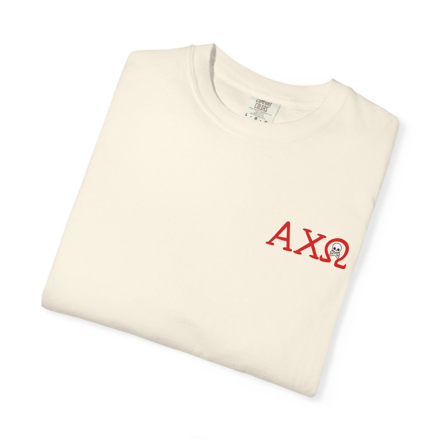 Alpha Chi Omega Garment-Dyed T-shirt, Unisex College Apparel, Sorority Shirt, Graduation Gift, Vintage Style Tee