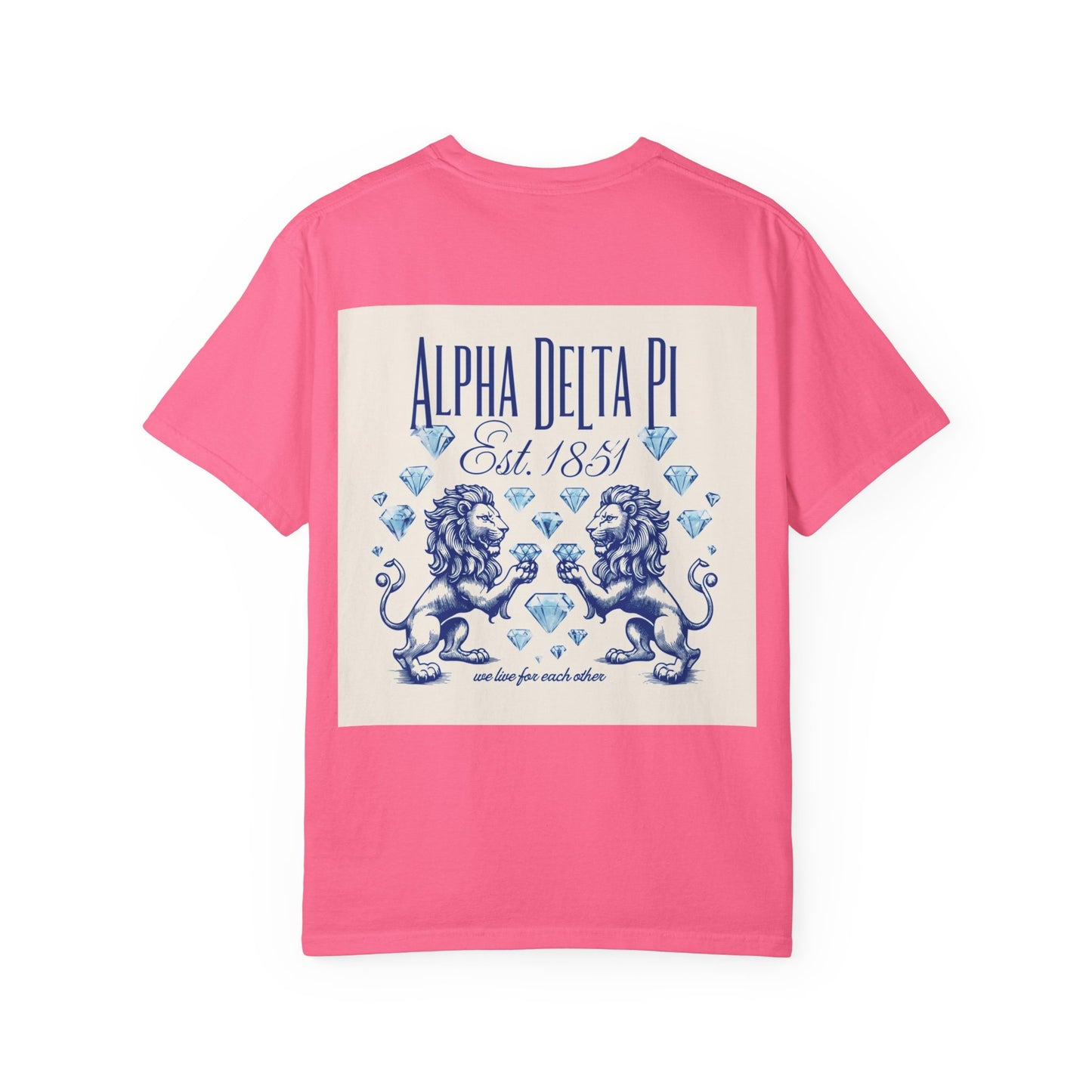 Alpha Delta Pi T-Shirt, Sorority Shirt, College Apparel, Greek Life Gift, Unisex Garment-Dyed Tee