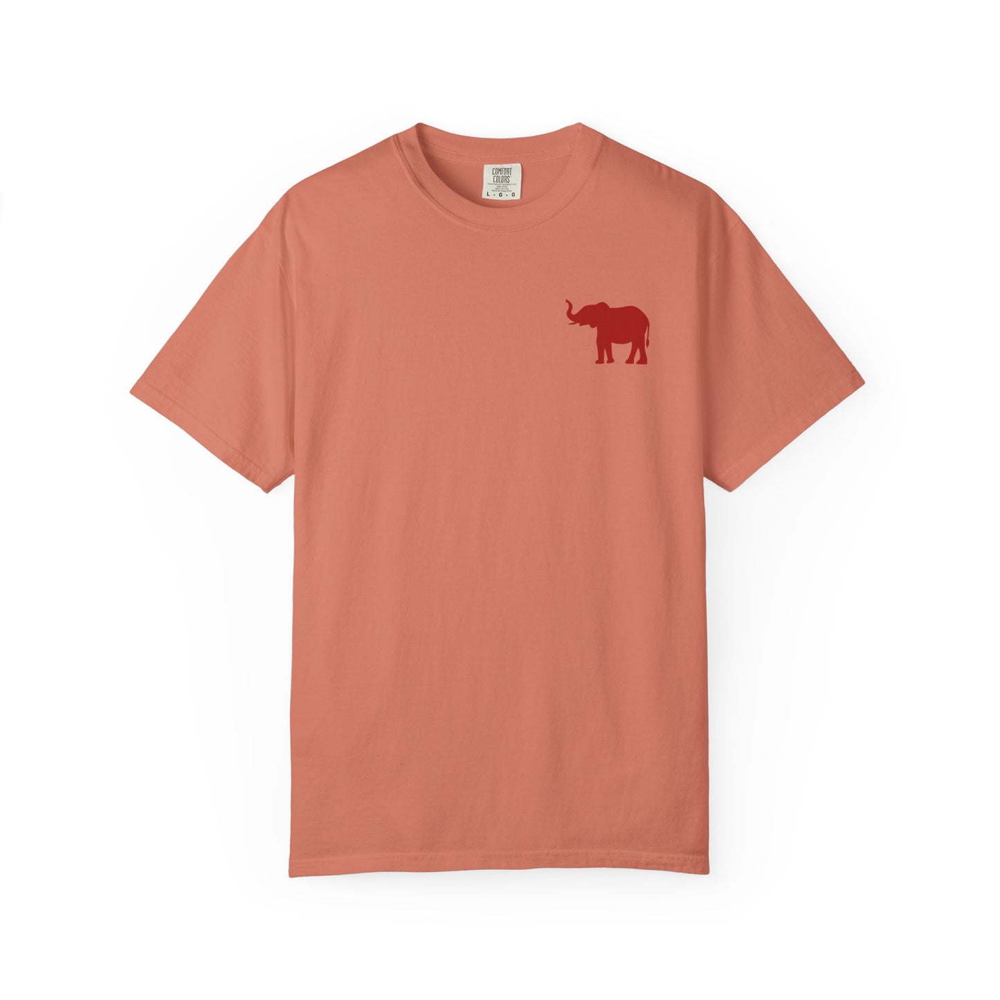 Comfort Colors Quad Alabama Tailgate Squad T-shirt