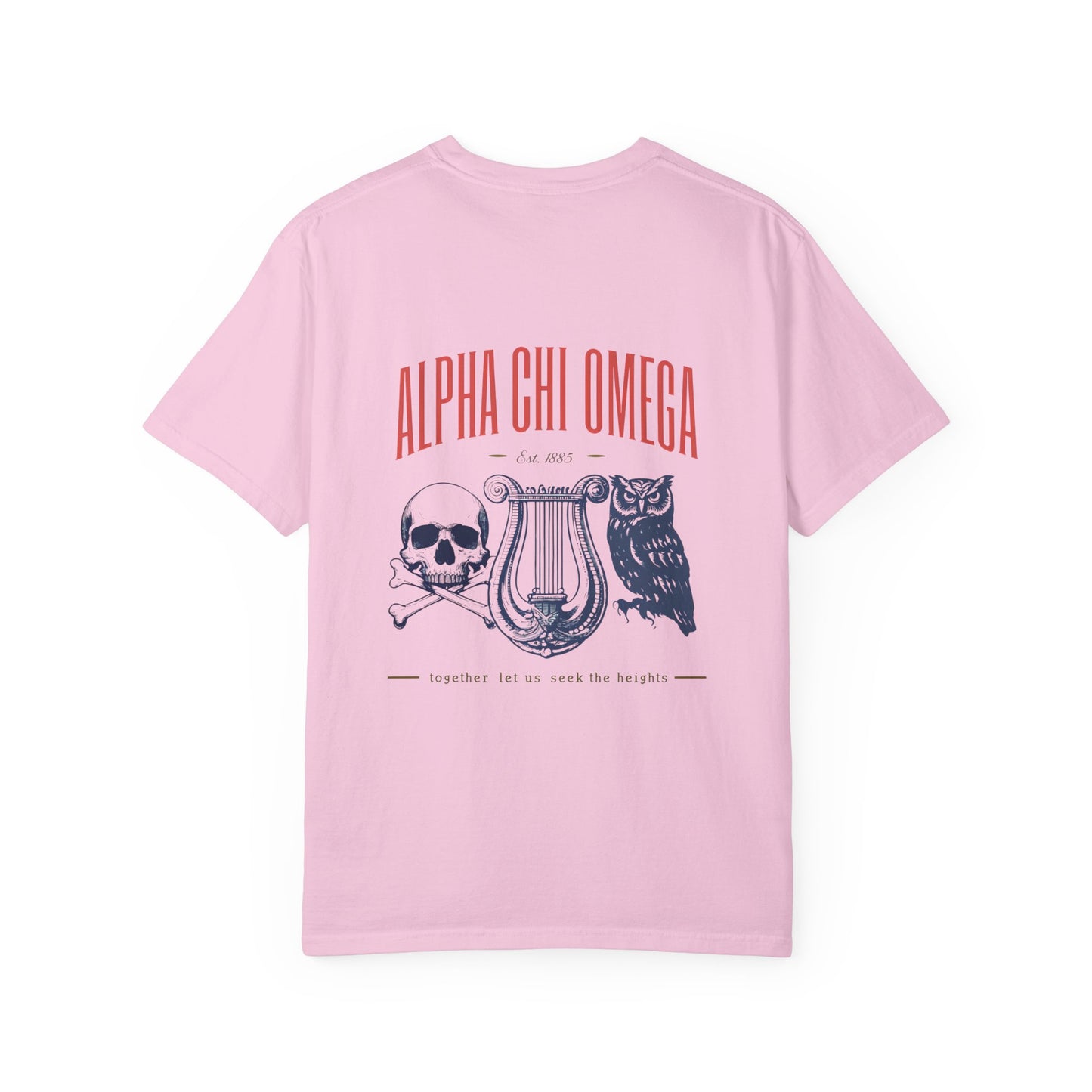 Alpha Chi Omega Garment-Dyed T-shirt, Unisex College Apparel, Sorority Shirt, Graduation Gift, Vintage Style Tee