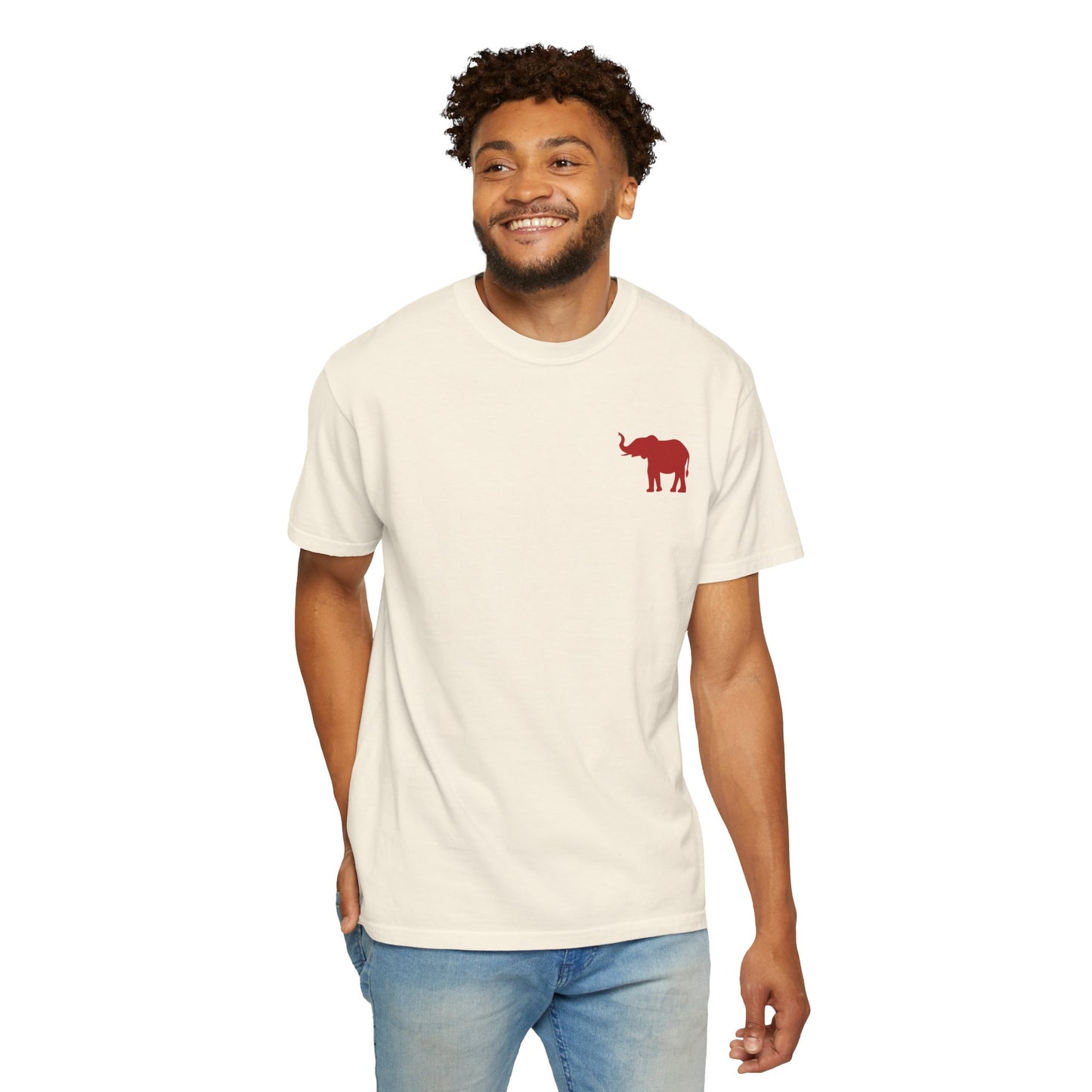 Comfort Colors Quad Alabama Tailgate Squad T-shirt