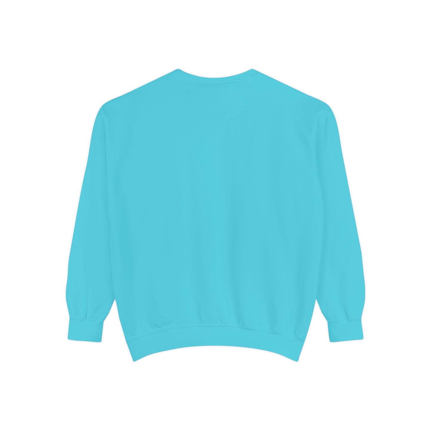 AlphaChi Garment-Dyed Sweatshirt, Sorority Sweatshirt, Personalized Gift, College Apparel, Comfortable Crewneck, Trendy Fashion
