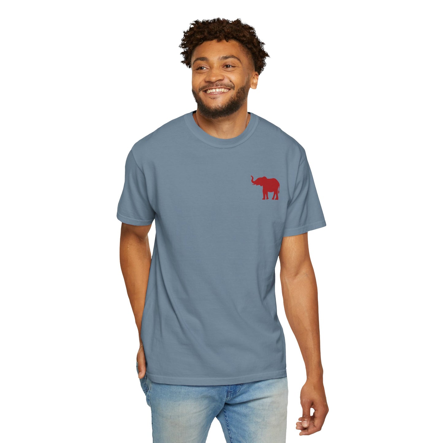 Comfort Colors Quad Alabama Tailgate Squad T-shirt