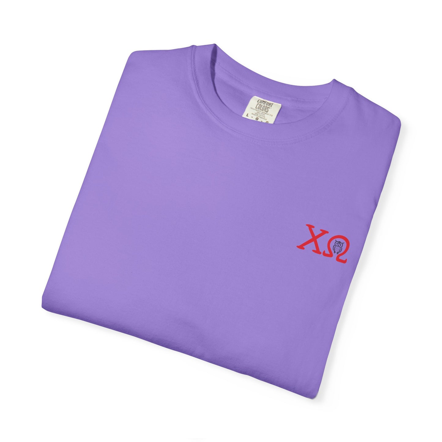 Chi Omega Sister T-Shirt, Sorority Apparel, College Tee, Garment-Dyed Shirt, Greek Life Merchandise, Casual Wear