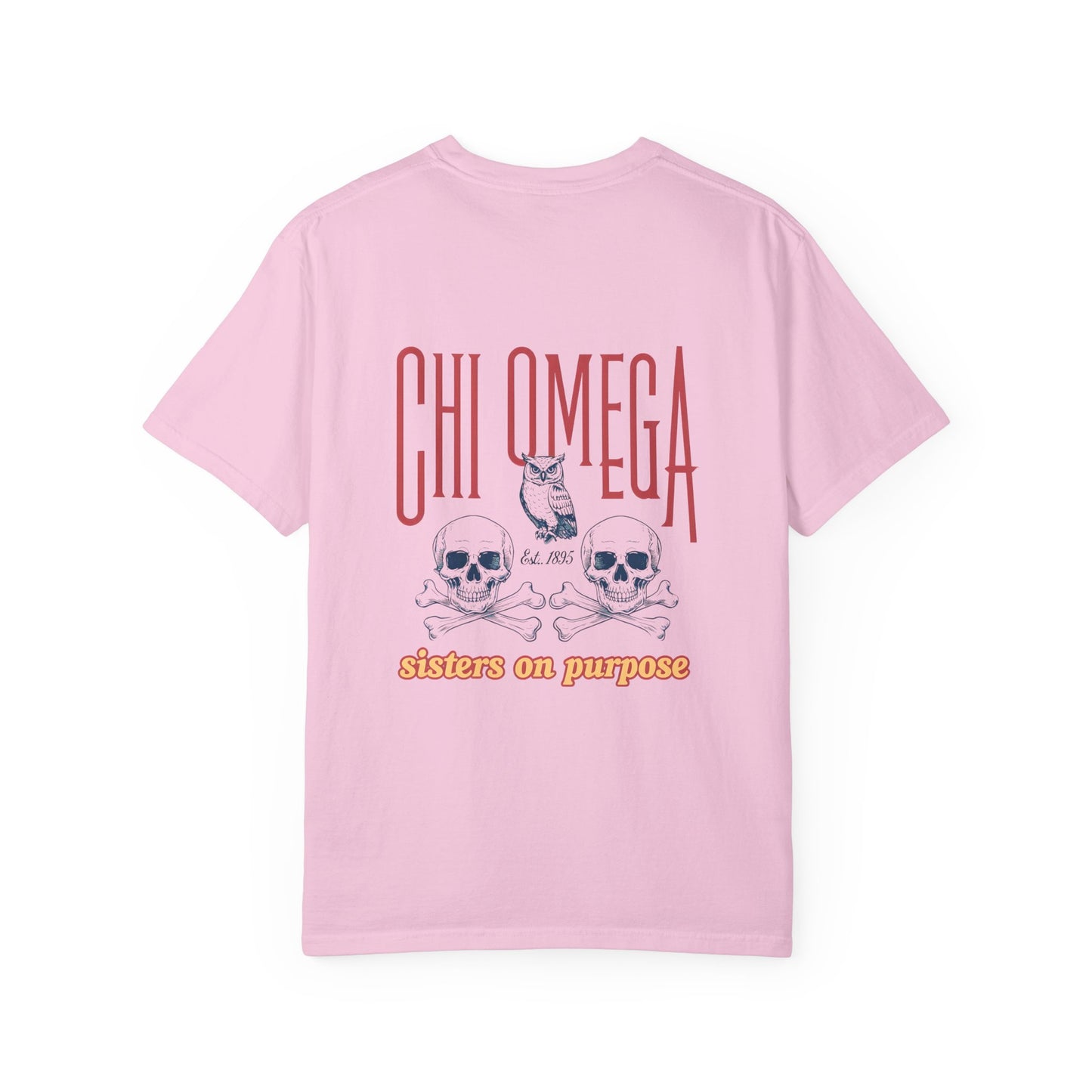 Chi Omega Sister T-Shirt, Sorority Apparel, College Tee, Garment-Dyed Shirt, Greek Life Merchandise, Casual Wear
