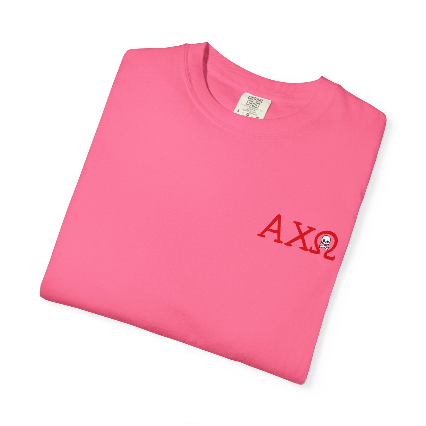 Alpha Chi Omega Garment-Dyed T-shirt, Unisex College Apparel, Sorority Shirt, Graduation Gift, Vintage Style Tee