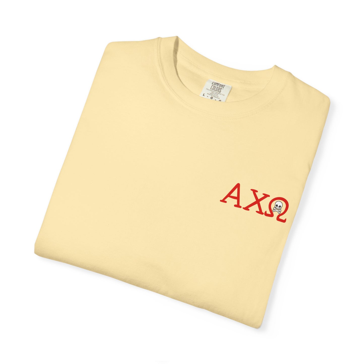Alpha Chi Omega Garment-Dyed T-shirt, Unisex College Apparel, Sorority Shirt, Graduation Gift, Vintage Style Tee