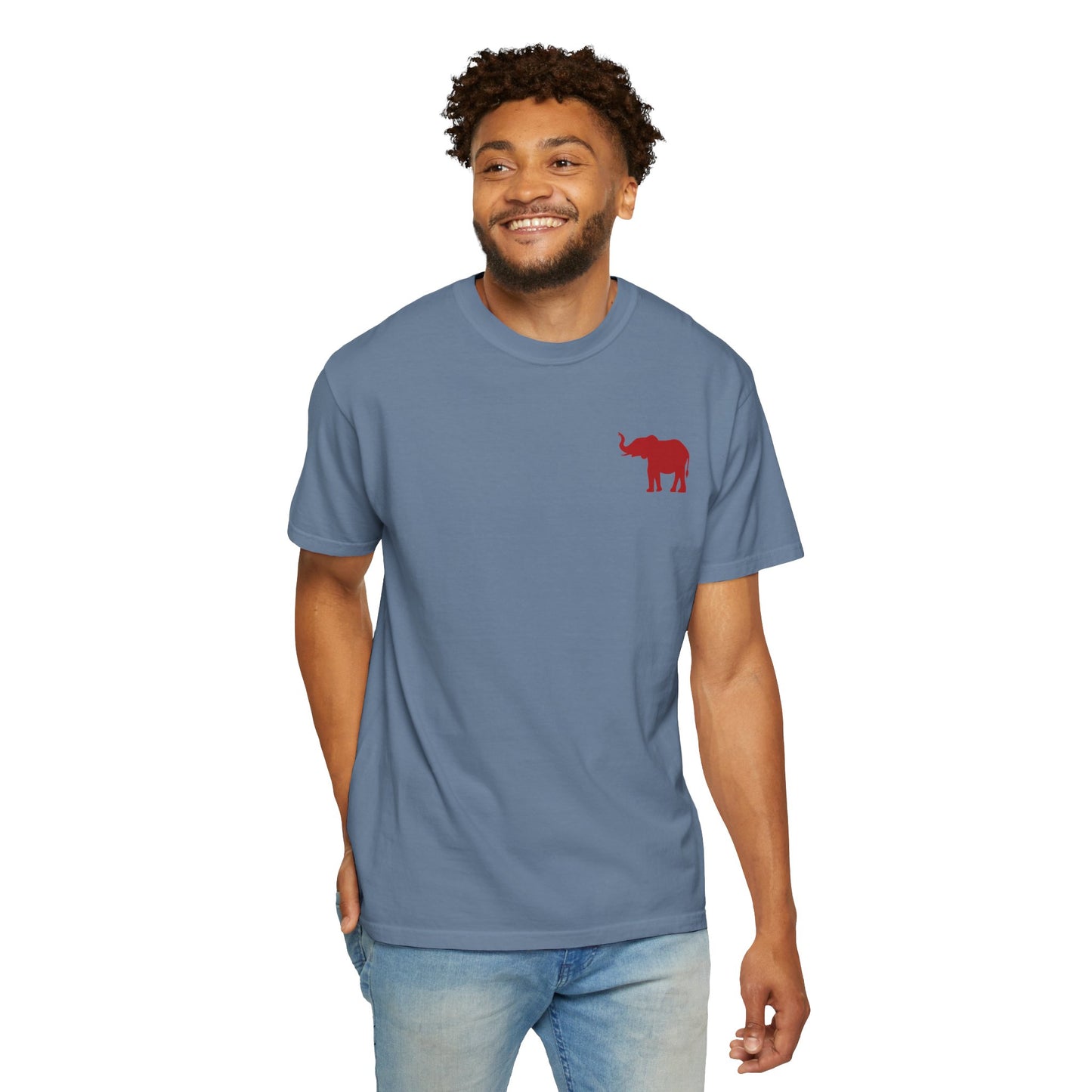 Comfort Colors Quad Alabama Tailgate Squad T-shirt