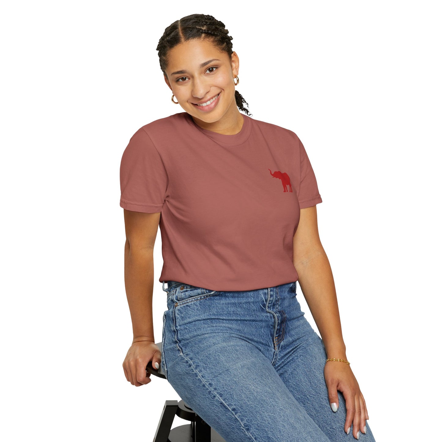 Comfort Colors Quad Alabama Tailgate Squad T-shirt