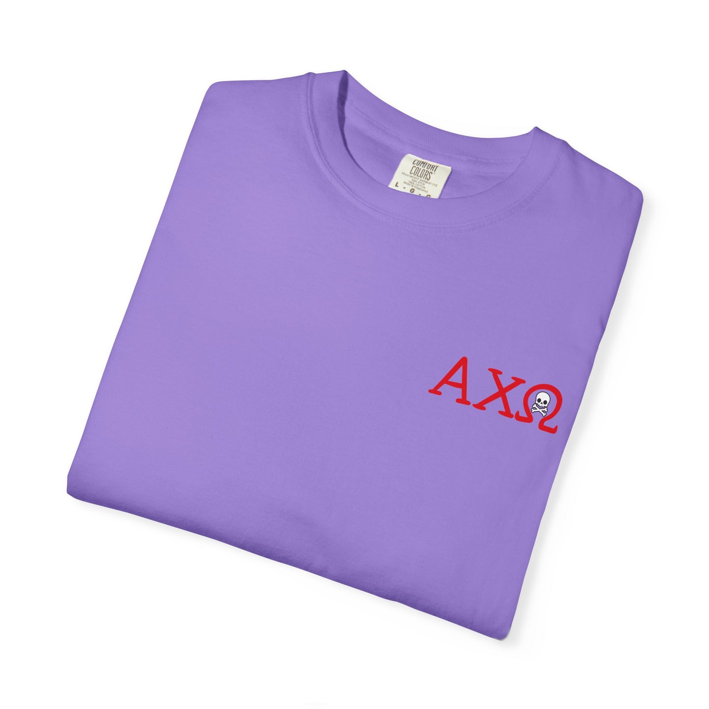 Alpha Chi Omega Garment-Dyed T-shirt, Unisex College Apparel, Sorority Shirt, Graduation Gift, Vintage Style Tee