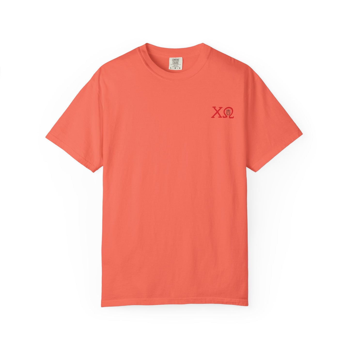 Chi Omega Sister T-Shirt, Sorority Apparel, College Tee, Garment-Dyed Shirt, Greek Life Merchandise, Casual Wear