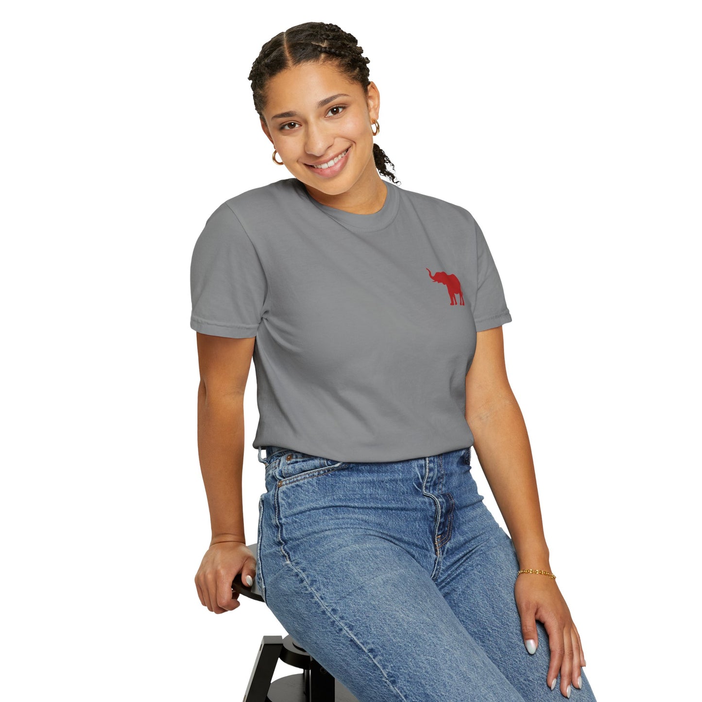 Comfort Colors Quad Alabama Tailgate Squad T-shirt