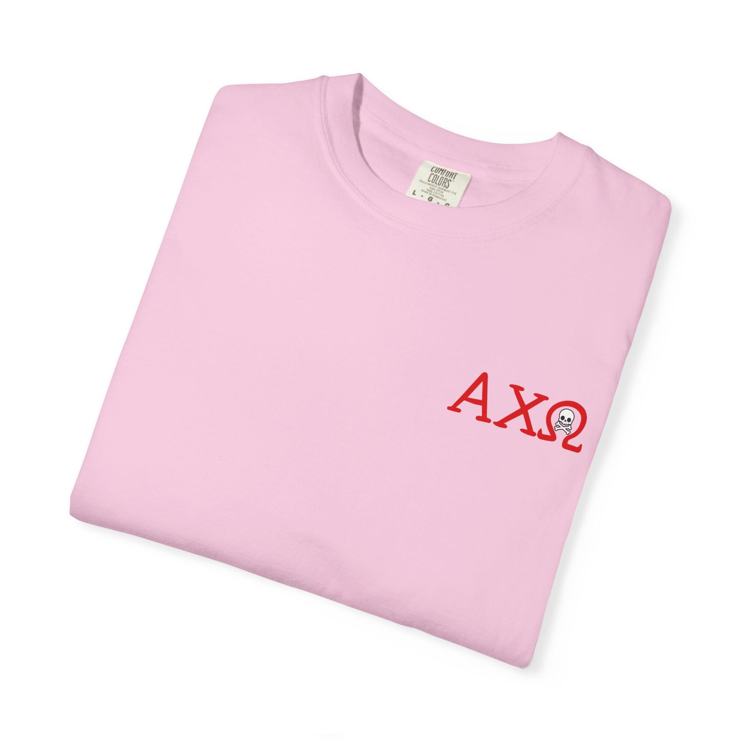 Alpha Chi Omega Garment-Dyed T-shirt, Unisex College Apparel, Sorority Shirt, Graduation Gift, Vintage Style Tee