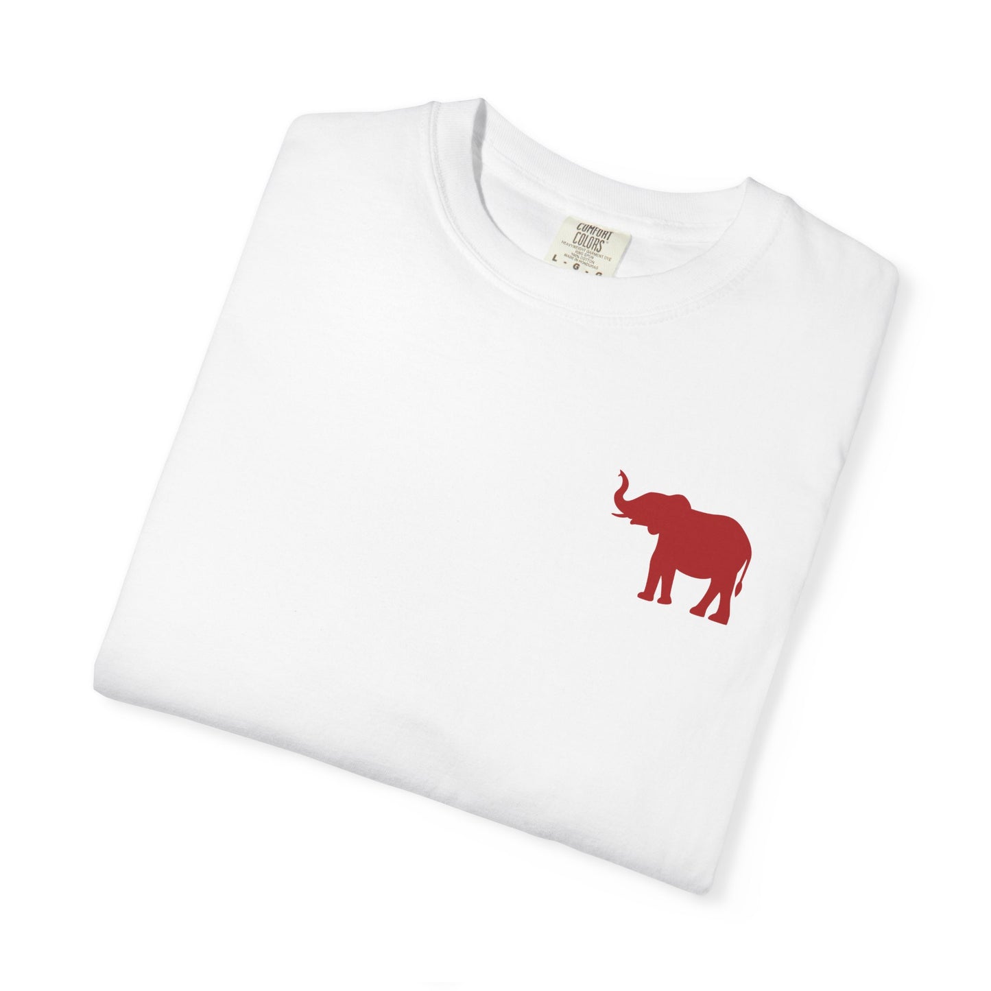 Comfort Colors Quad Alabama Tailgate Squad T-shirt