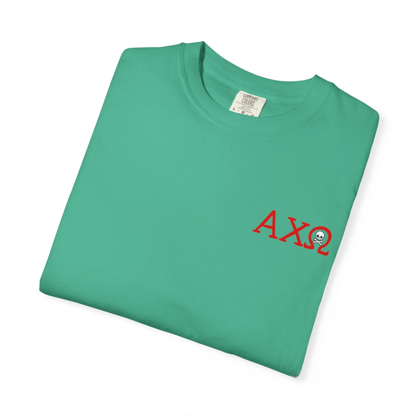Alpha Chi Omega Garment-Dyed T-shirt, Unisex College Apparel, Sorority Shirt, Graduation Gift, Vintage Style Tee