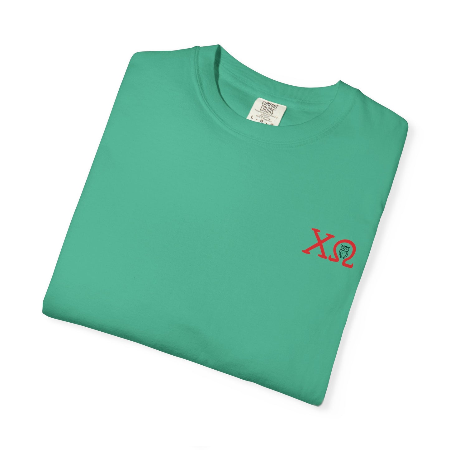 Chi Omega Sister T-Shirt, Sorority Apparel, College Tee, Garment-Dyed Shirt, Greek Life Merchandise, Casual Wear
