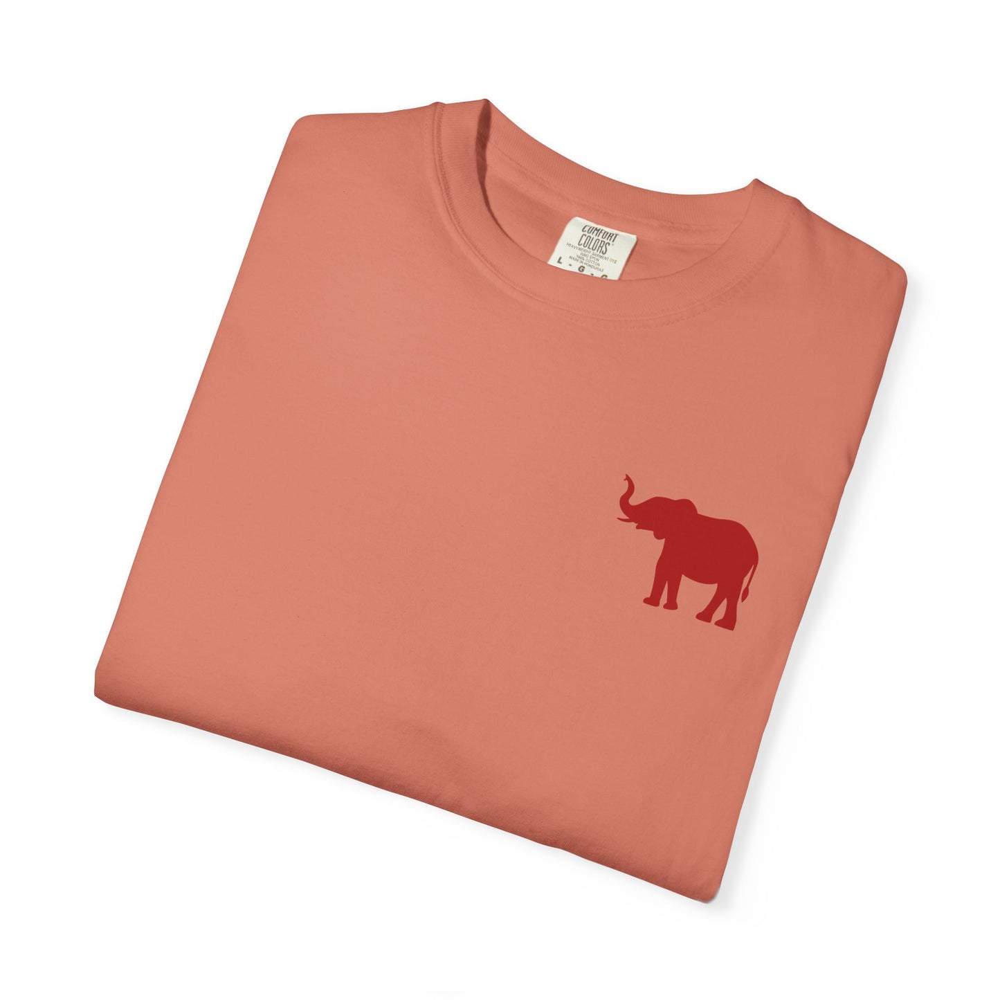 Comfort Colors Quad Alabama Tailgate Squad T-shirt