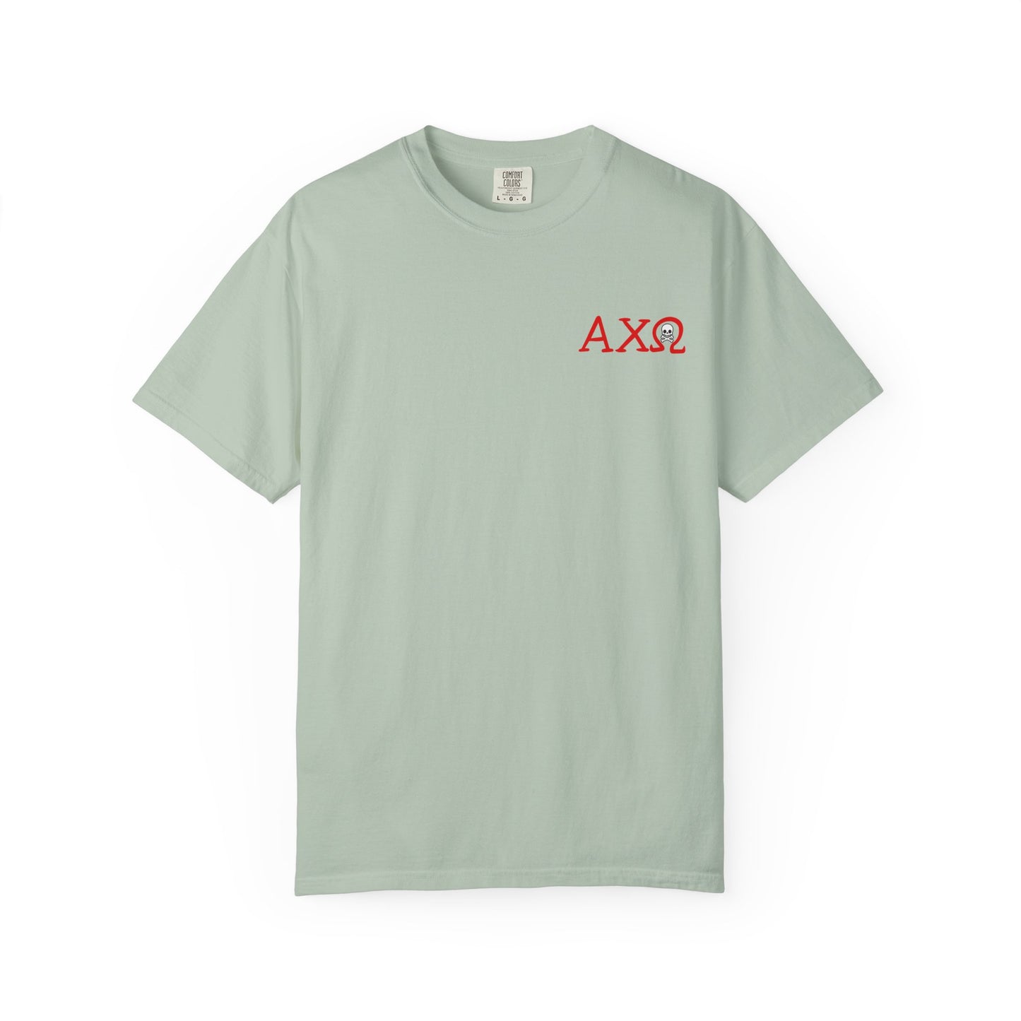 Alpha Chi Omega Garment-Dyed T-shirt, Unisex College Apparel, Sorority Shirt, Graduation Gift, Vintage Style Tee