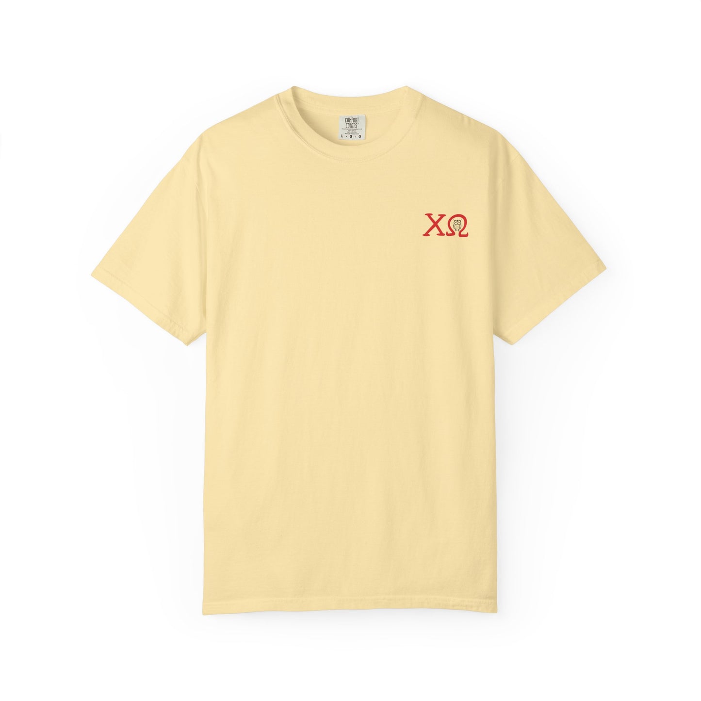 Chi Omega Sister T-Shirt, Sorority Apparel, College Tee, Garment-Dyed Shirt, Greek Life Merchandise, Casual Wear