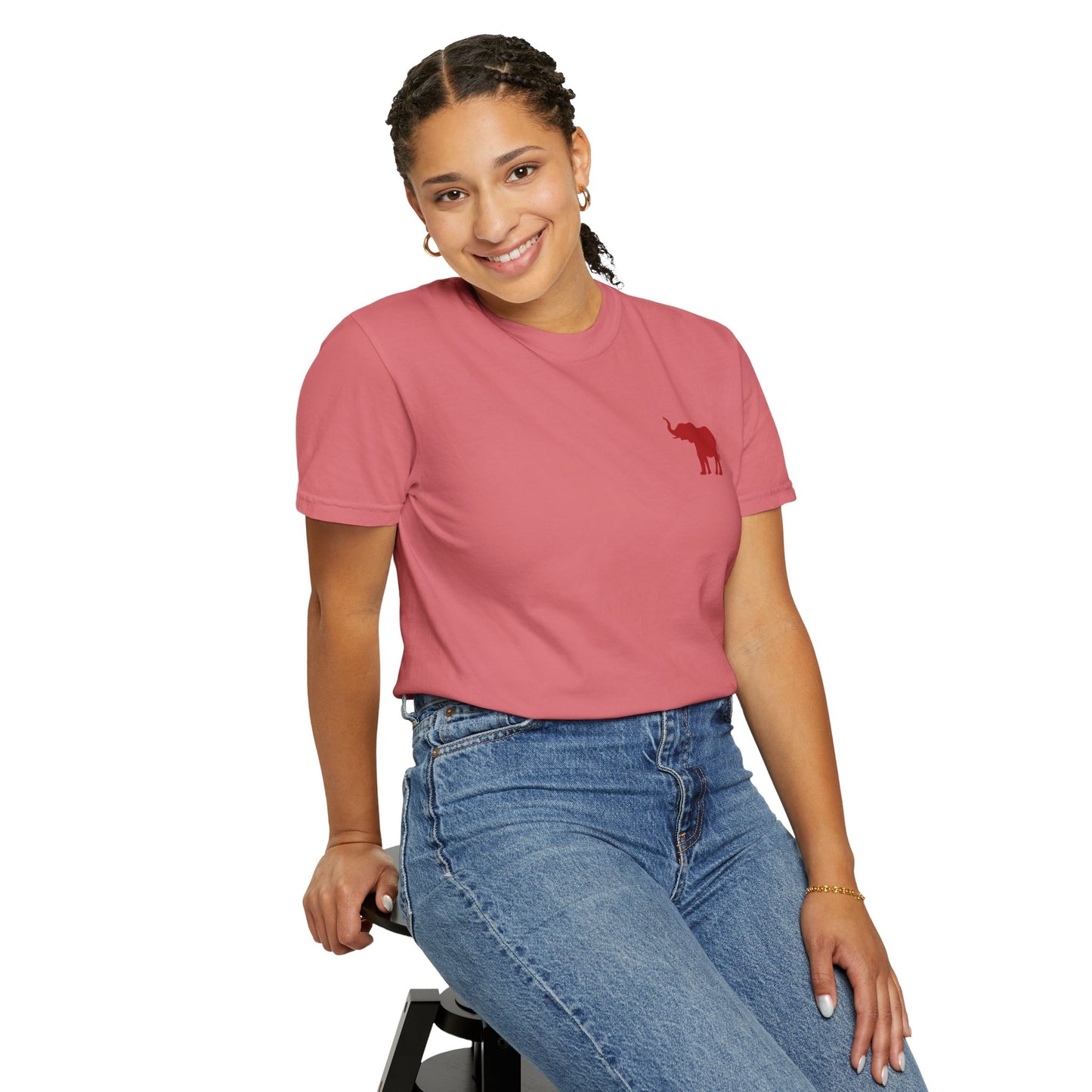 Comfort Colors Quad Alabama Tailgate Squad T-shirt
