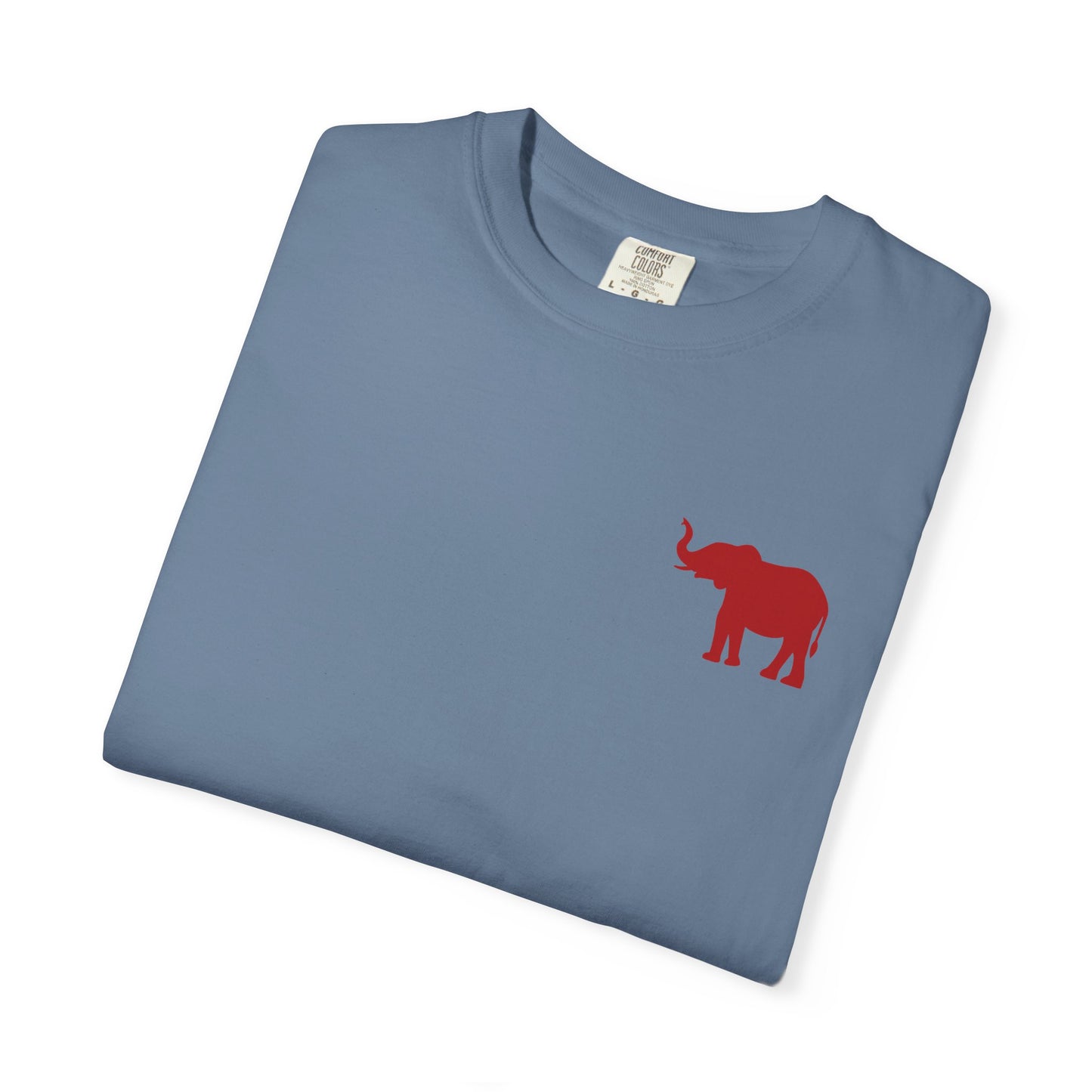 Comfort Colors Quad Alabama Tailgate Squad T-shirt