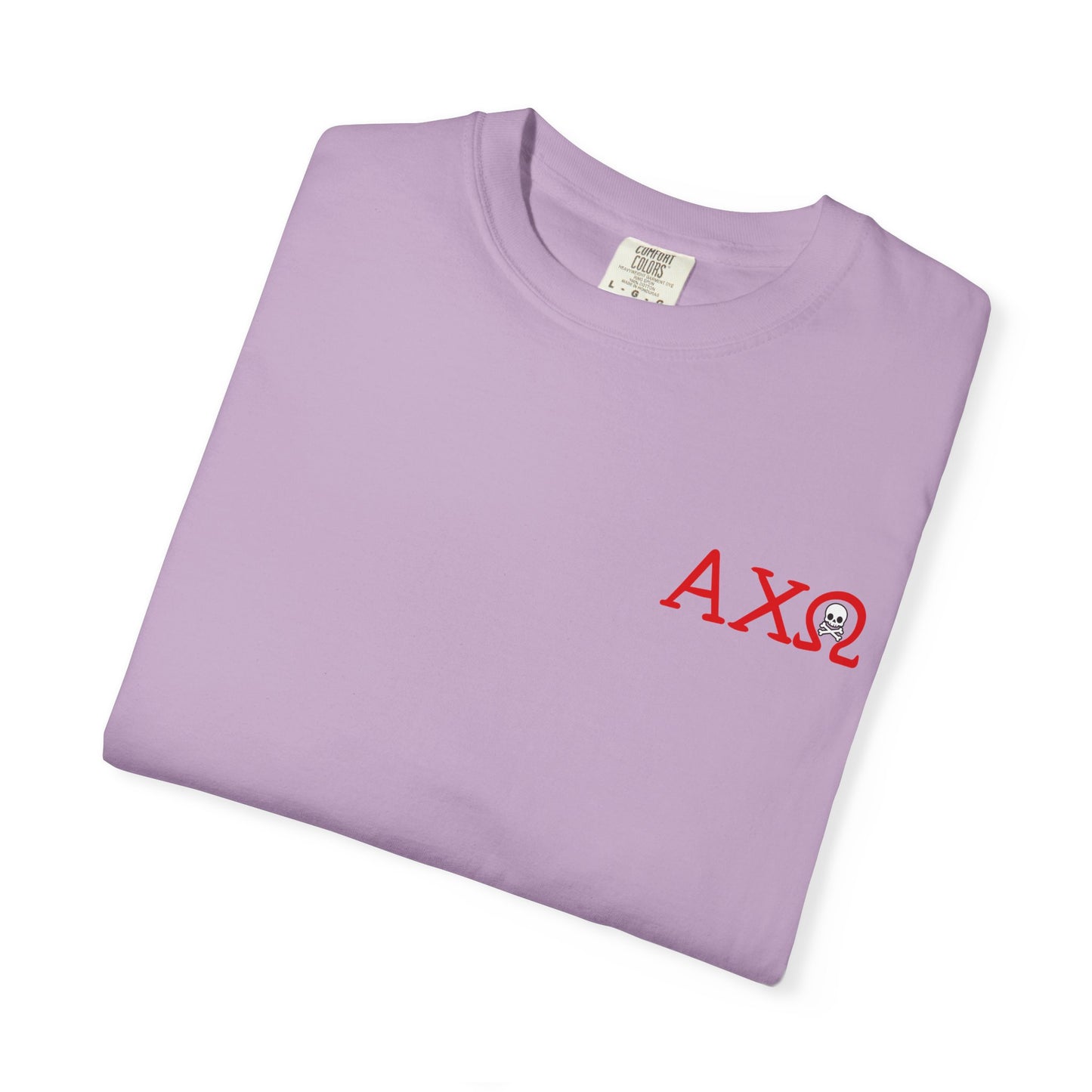 Alpha Chi Omega Garment-Dyed T-shirt, Unisex College Apparel, Sorority Shirt, Graduation Gift, Vintage Style Tee