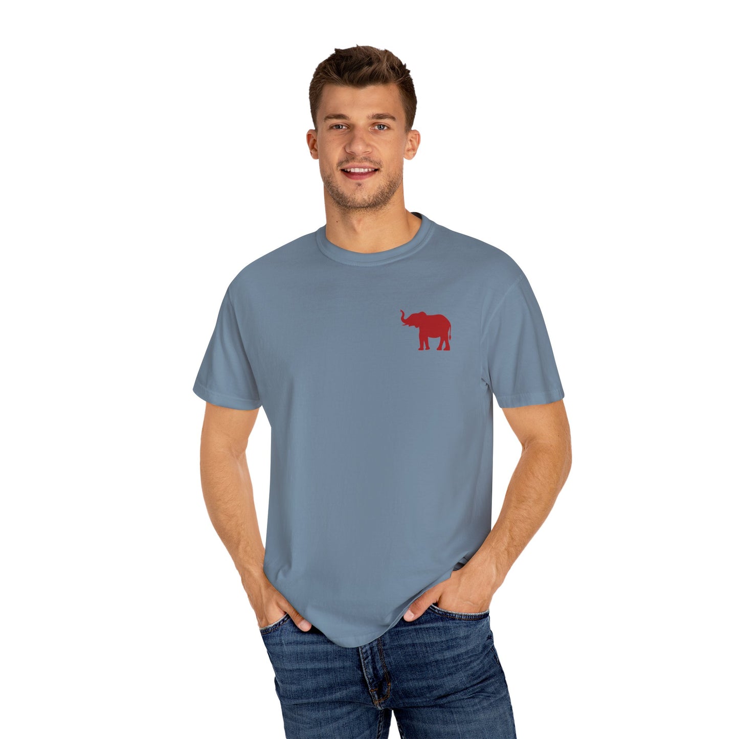 Comfort Colors Quad Alabama Tailgate Squad T-shirt