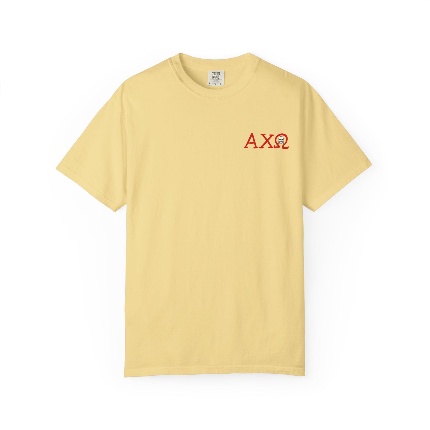 Alpha Chi Omega Garment-Dyed T-shirt, Unisex College Apparel, Sorority Shirt, Graduation Gift, Vintage Style Tee