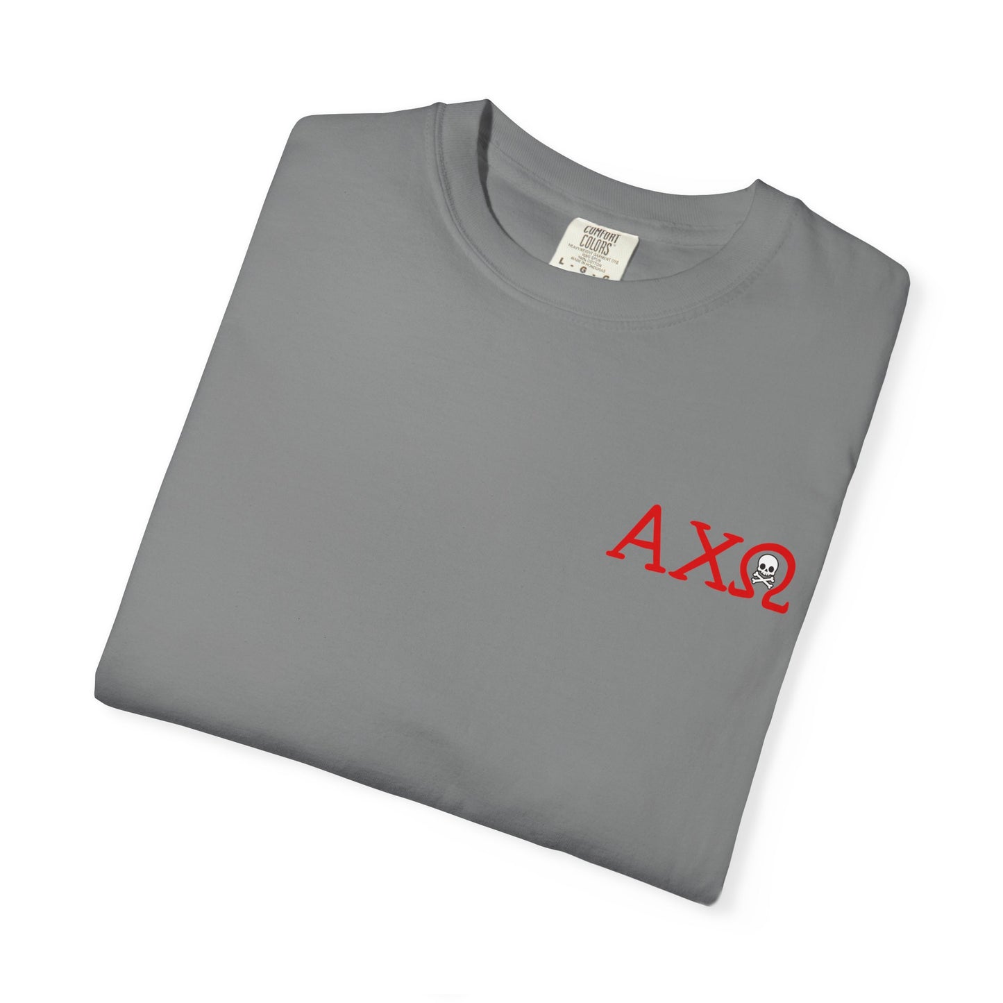 Alpha Chi Omega Garment-Dyed T-shirt, Unisex College Apparel, Sorority Shirt, Graduation Gift, Vintage Style Tee