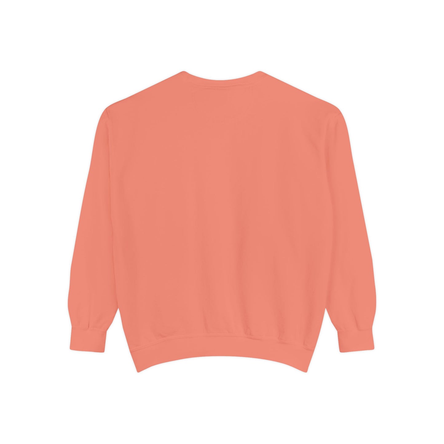 AlphaChi Garment-Dyed Sweatshirt, Sorority Sweatshirt, Personalized Gift, College Apparel, Comfortable Crewneck, Trendy Fashion