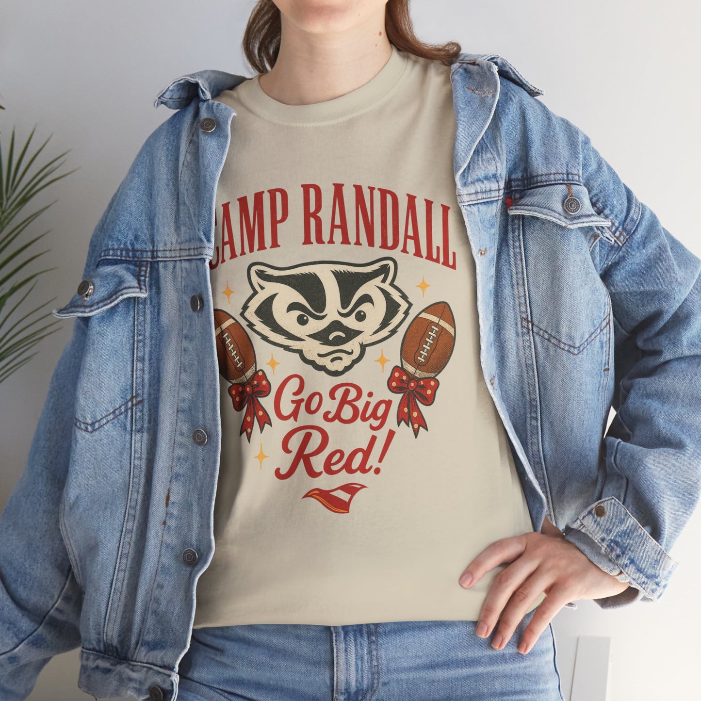 Camp Randall Unisex Tee, Wisconsin Badgers Game Day Shirt