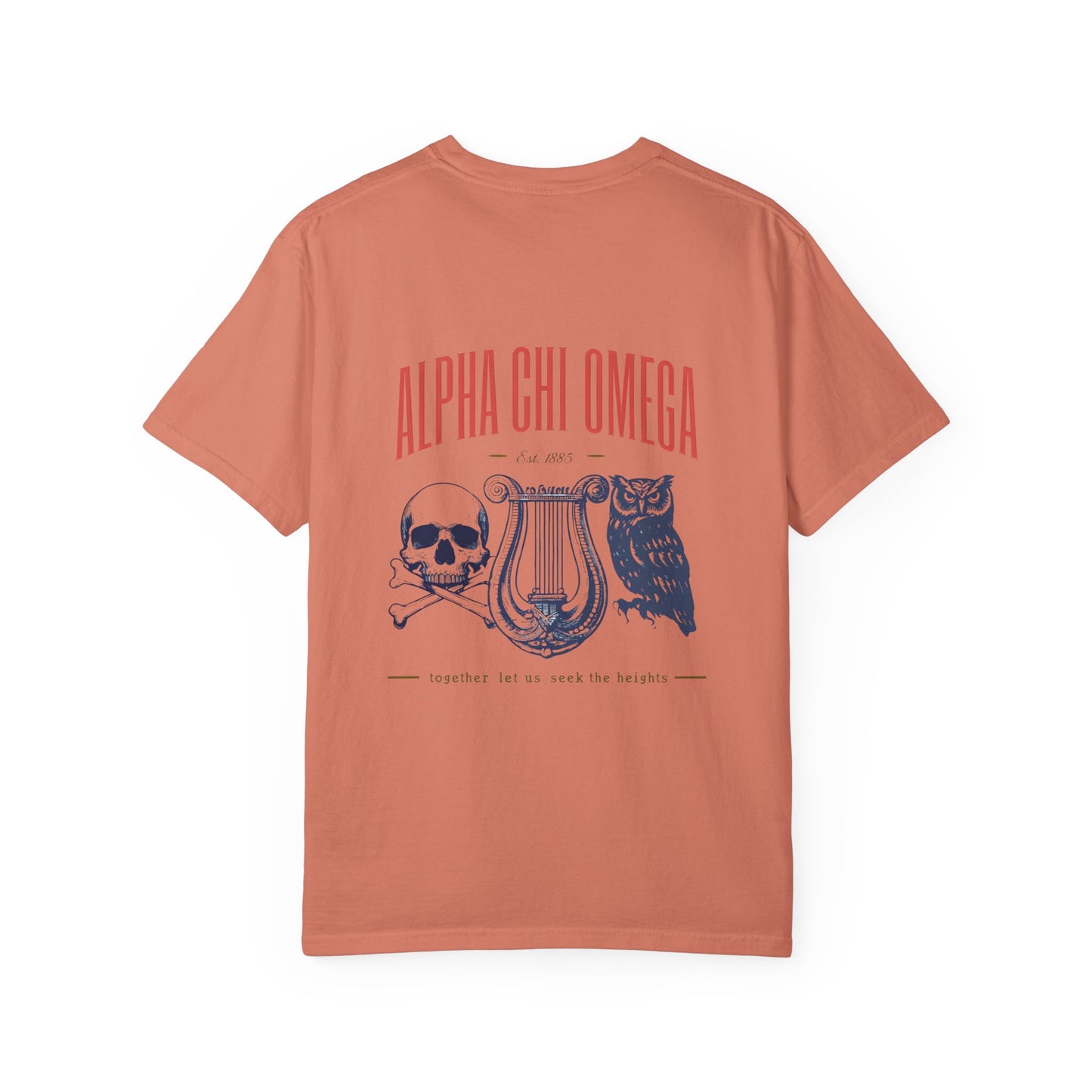 Alpha Chi Omega Garment-Dyed T-shirt, Unisex College Apparel, Sorority Shirt, Graduation Gift, Vintage Style Tee