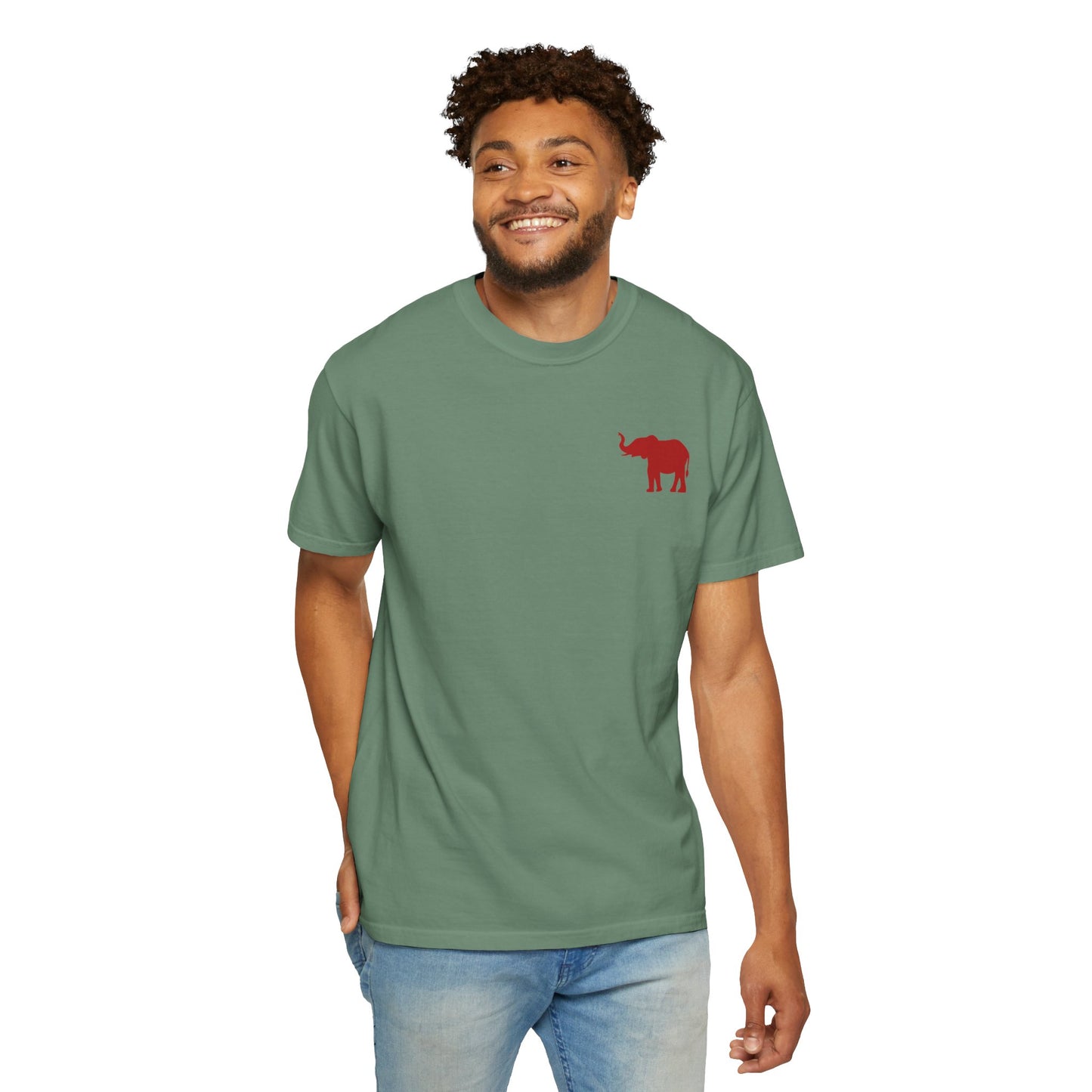 Comfort Colors Quad Alabama Tailgate Squad T-shirt