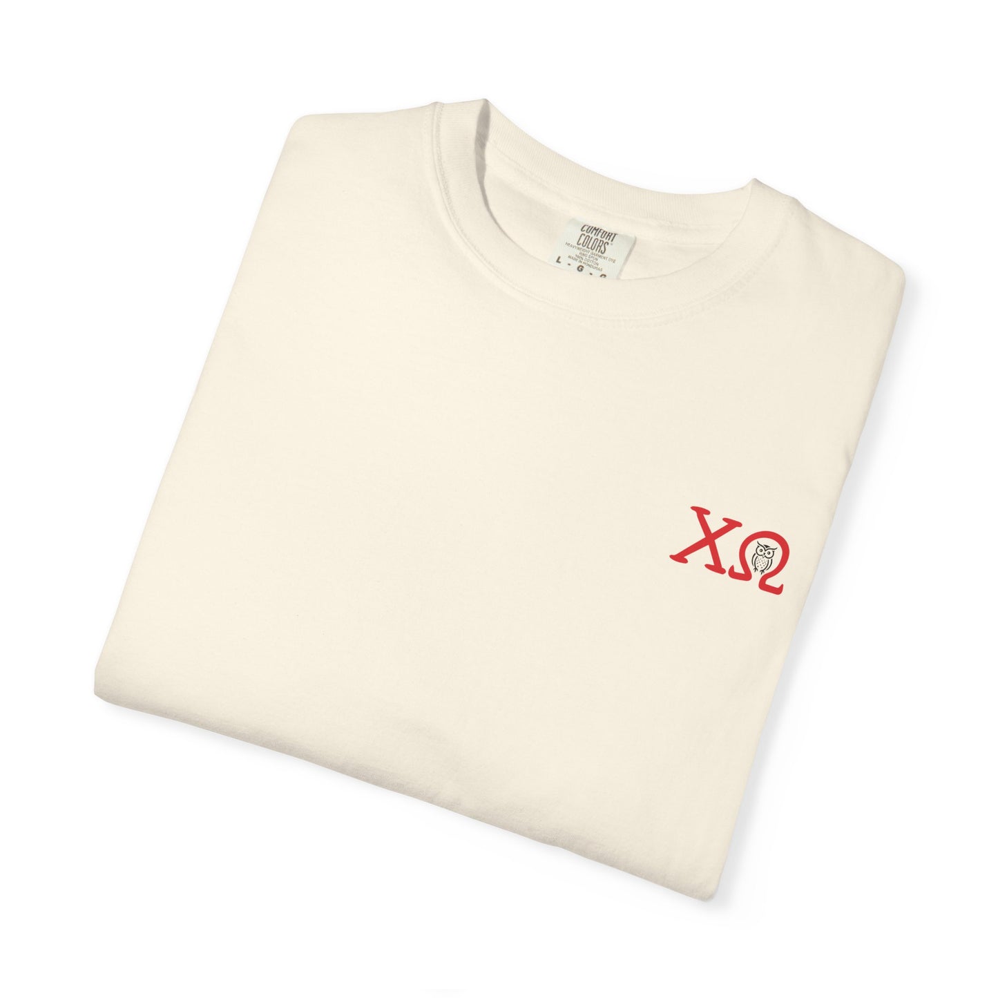 Chi Omega Sister T-Shirt, Sorority Apparel, College Tee, Garment-Dyed Shirt, Greek Life Merchandise, Casual Wear